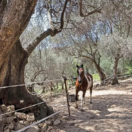 La Colombiera 度假居