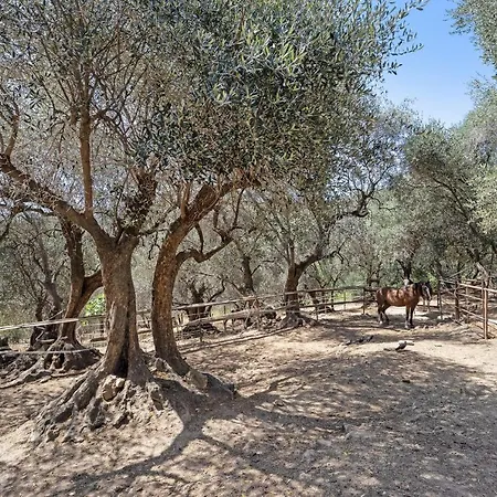 La Colombiera 度假居 *