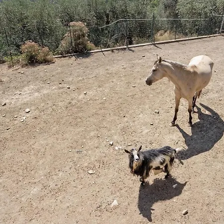 度假居 La Colombiera