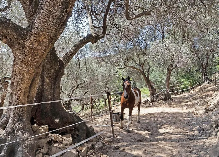 La Colombiera 度假居