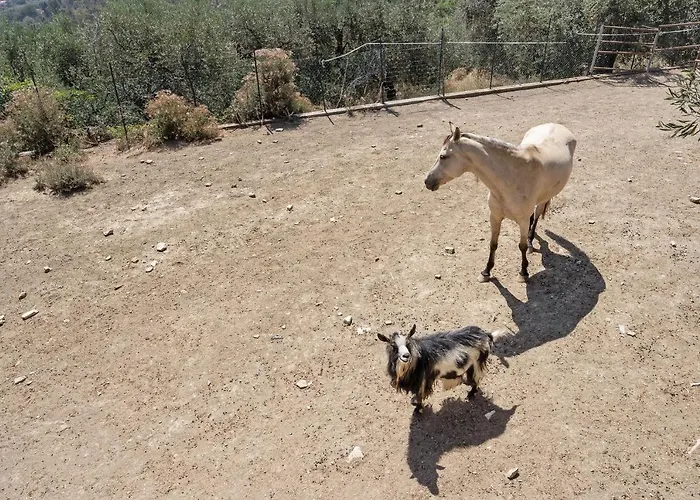 度假居 La Colombiera