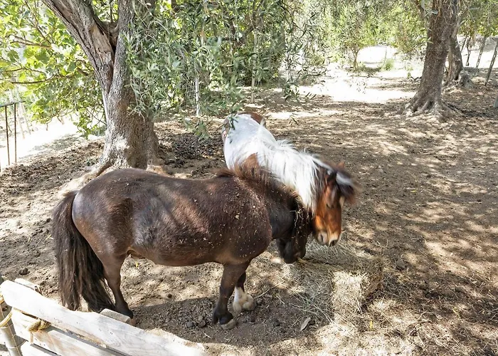 بيت للعطل La Colombiera دْيانو مارينا